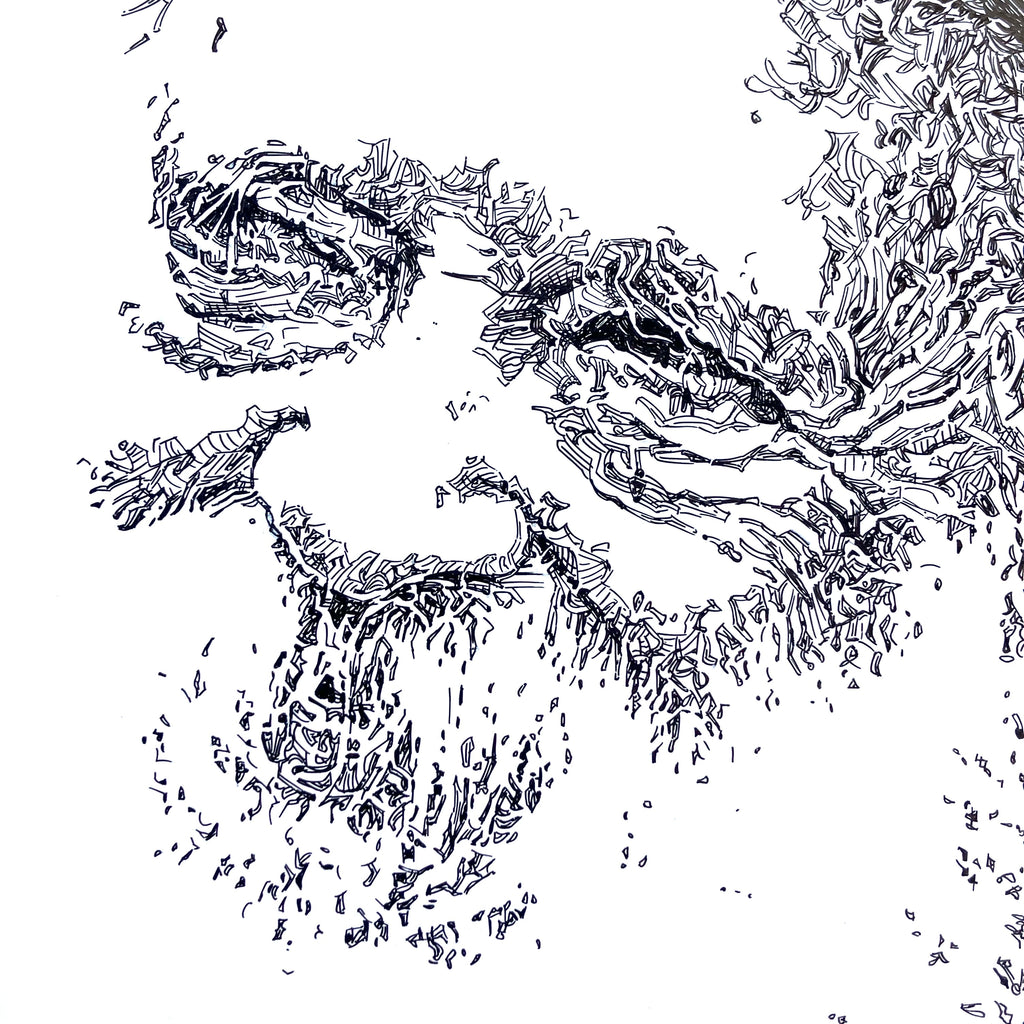 Rabbi Chaim Kanievsky