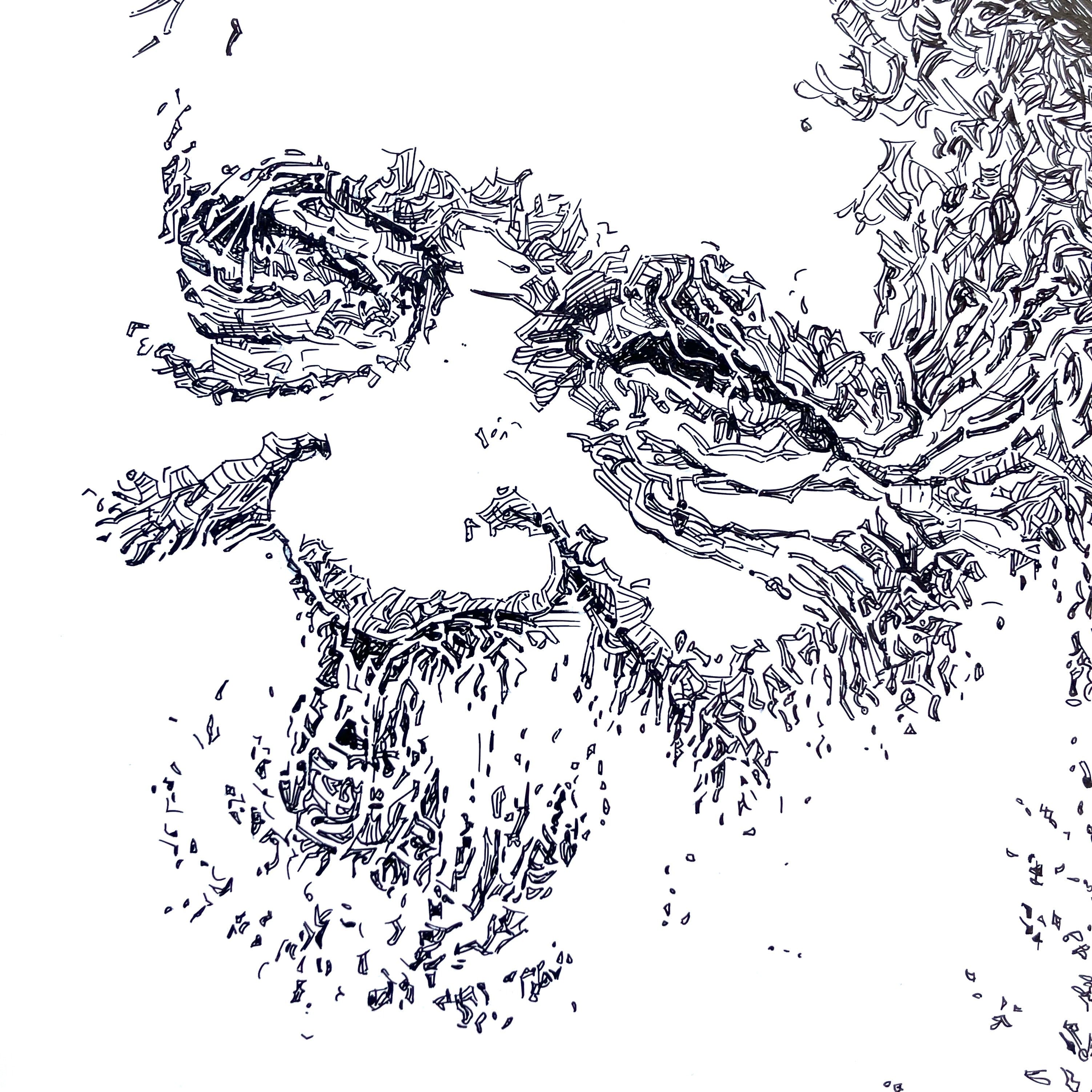 Rabbi Chaim Kanievsky