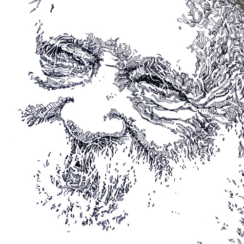 Rabbi Chaim Kanievsky